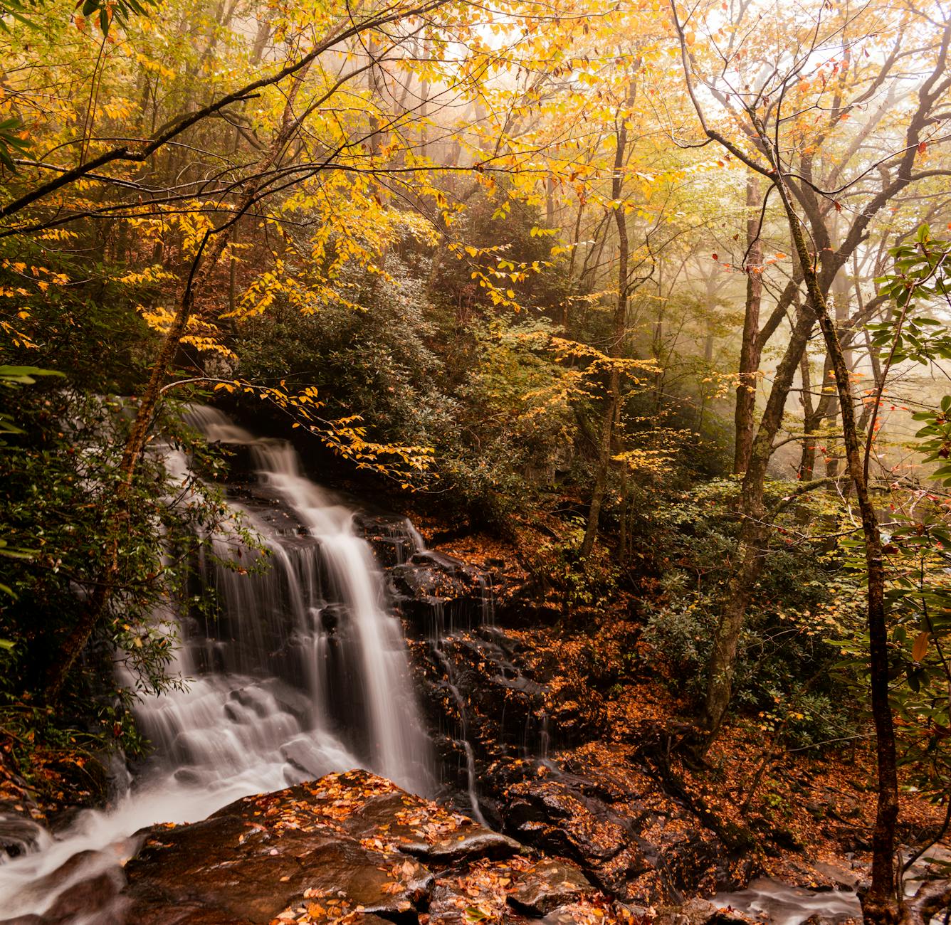 waterfalls in the middle of the forest