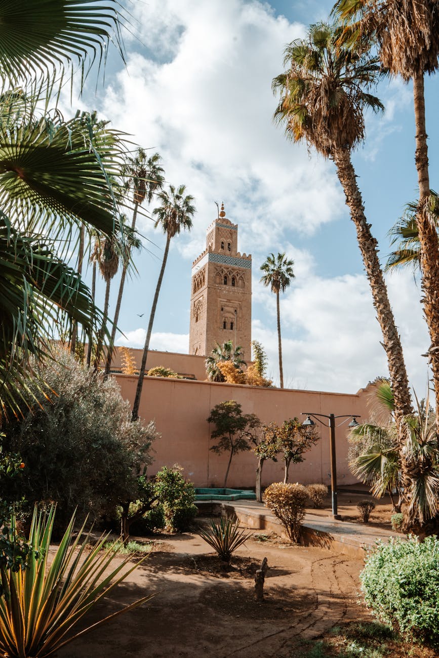 koutoubia mosque tower in marrakech garden setting
